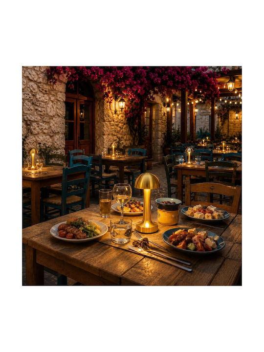 Decorative LED Light Warm White 3000K 8pcs