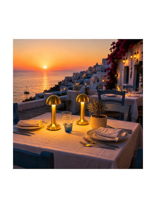 Decorative LED Light Warm White 3000K 8pcs