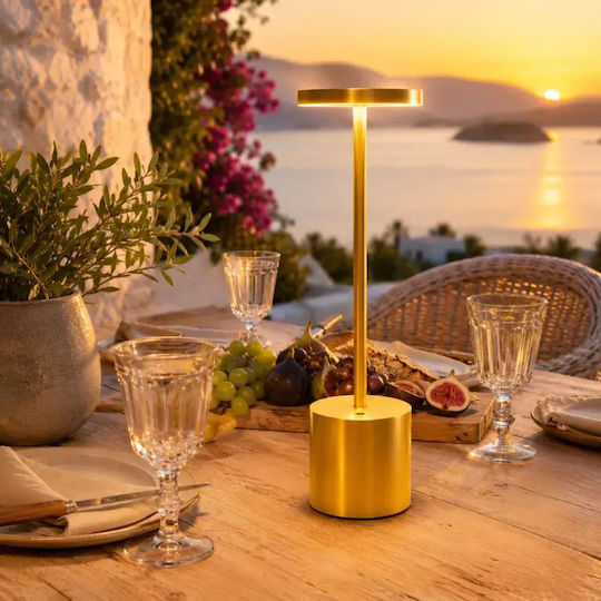 Decorative LED Light Warm White 3000K 4pcs