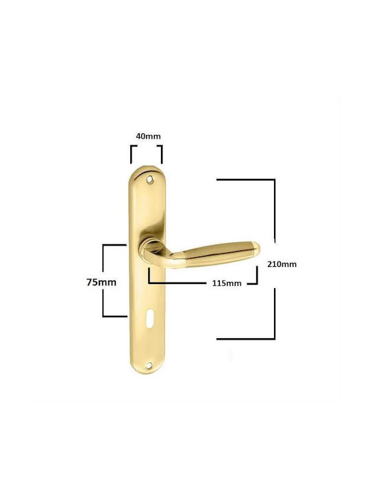 Import Hellas Türgriff Mittlere Tür Platte Paar Gold Satin Import Hellas Türgriff Mittlere Tür Platte Paar Gold Satin