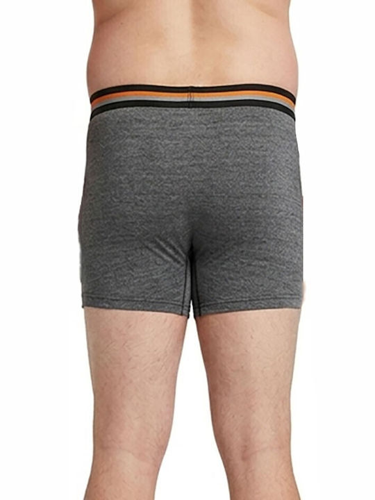 Herren Boxershorts & Slips  Anthrazit
