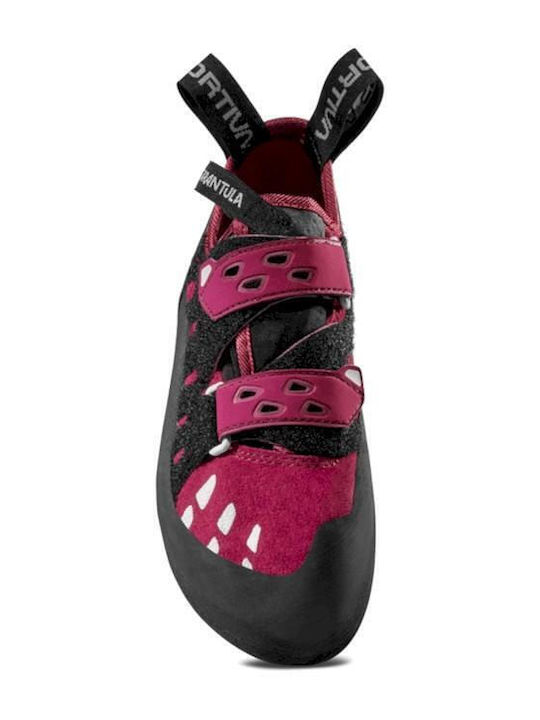 La Sportiva Tarantula Women's Climbing Shoes Purple
