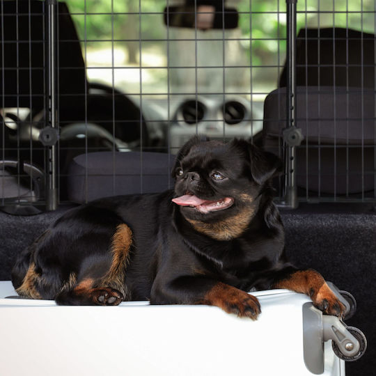 Relaxdays Relaxdays Hund Auto Reisezubehör Schwarz