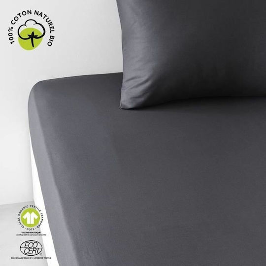 Today King Size 180x200εκ. με Λάστιχο Γκρι