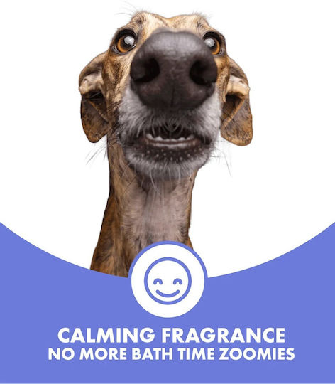 Șampon Balsamic Calmant Pentru Câini Cu Păr Creț Dotdotpet Vegan 100% Ingrediente Naturale 280 Ml