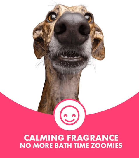Șampon Balsamic Calmante Pentru Câini Cu Păr Lung Dotdotpet Descurcător Vegan Ingrediente 100% Naturale 280 Ml