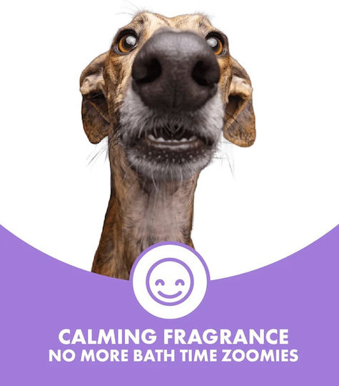 Balsam Shampoo Für Kurzes Haar Hunde Dotdotpet Vegan 100% Natürliche Zutaten 280 Ml