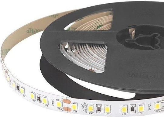Cubalux LED-Streifen 24V Kaltweißes Licht 5m