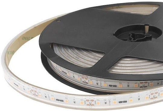 Cubalux Waterproof LED Strip 5m