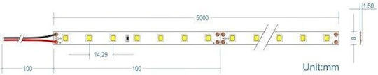 Cubalux LED Strip 24V Warm White Light 5m