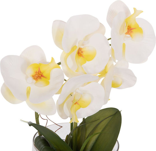 Dekoratives Künstliches Pflanze Fb94738 Blume Phalaenopsis Glasvase 12x24x30cm