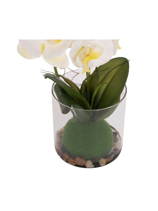 Decorative Artificial Plant Fb94738 Orchid Glass Vase 12x24x30cm