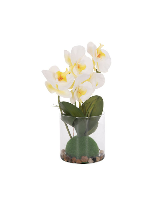 Decorative Artificial Plant Fb94738 Orchid Glass Vase 12x24x30cm