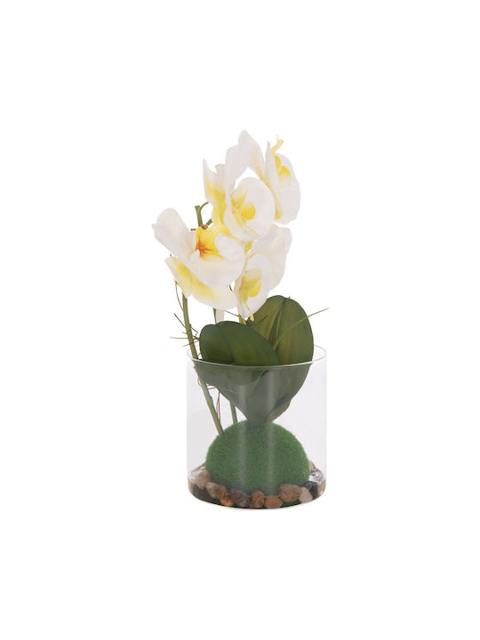 Decorative Artificial Plant Fb94738 Orchid Glass Vase 12x24x30cm