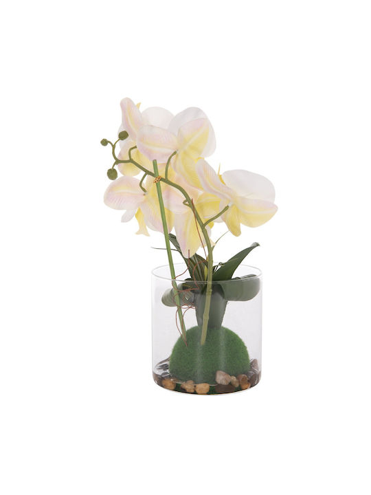 Decorative Artificial Plant Fb94738 Orchid Glass Vase 12x24x30cm
