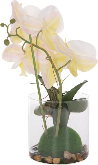 Dekoratives Künstliches Pflanze Fb94738 Blume Phalaenopsis Glasvase 12x24x30cm