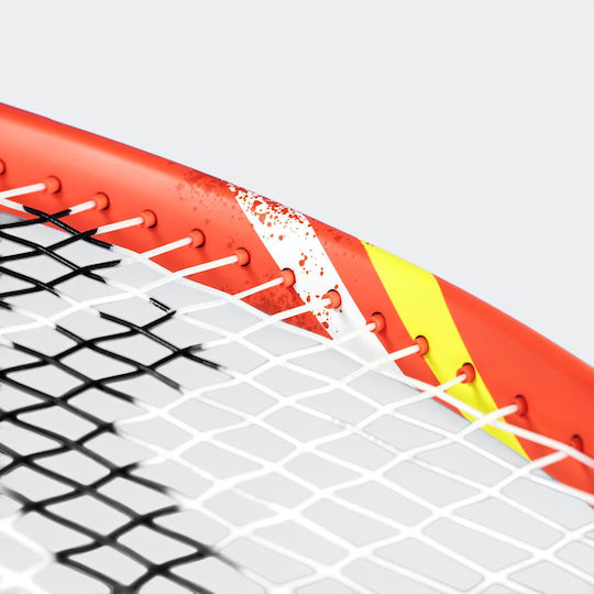 Tecnifibre T-fight 300 Тенис Ракета