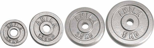 AMILA Set of Plates Metal 1 x 2.5kg Ø28mm