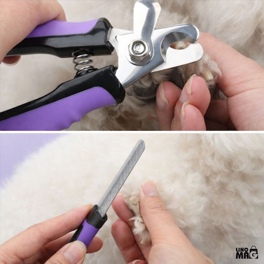Linomag Hundebürste Handschuh Für Reinigung Des Hundes Lila