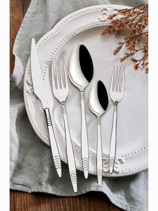 SteweHome Salter Inox Dessert / Eiscreme Löffel Set Silber 6 Stück