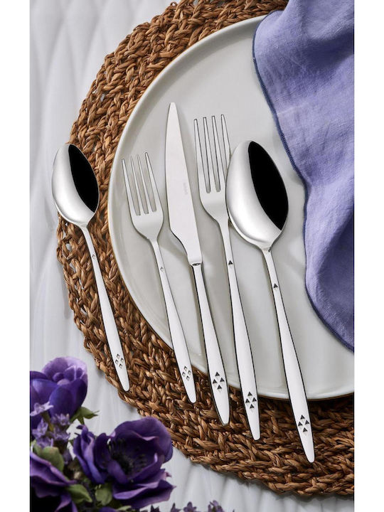 SteweHome Salter Inox Dessert / Eiscreme Löffel Set Silber 6 Stück