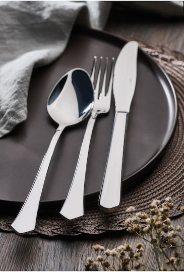 SteweHome Set Of Silver Stainless Steel Dinner Spoons 6 Pieces
