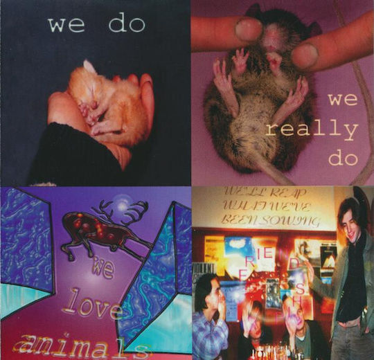 Daau - We Need New Animals CD Μουσικής