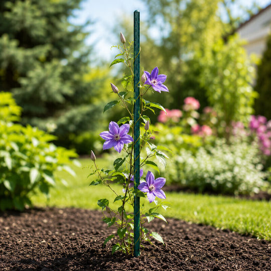 Unealtă Suport Plante Lungime 90 Cm Diametru 11 Mm Suport Fiabil Plante Culturi