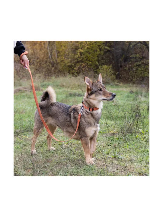 Ferplast Greener Hundehalsband Xs-s Orange