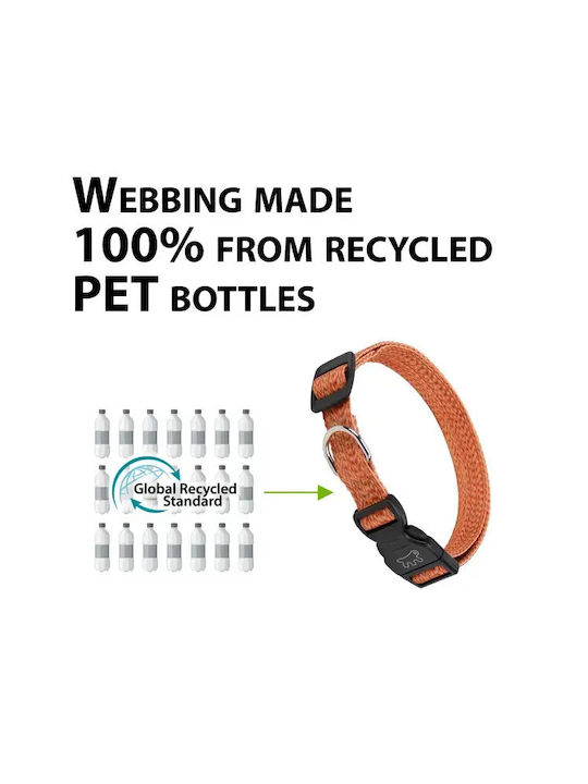 Guler Pentru Câini Ferplast Greener Mare Gri