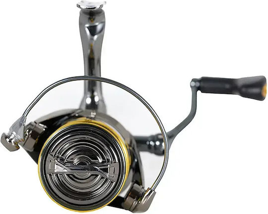 Ryuji Ares X Spinning 1000 Angelrollen für Eging / Leichtes Felsangeln (LRF) / Shore Jigging / Spinnfischen