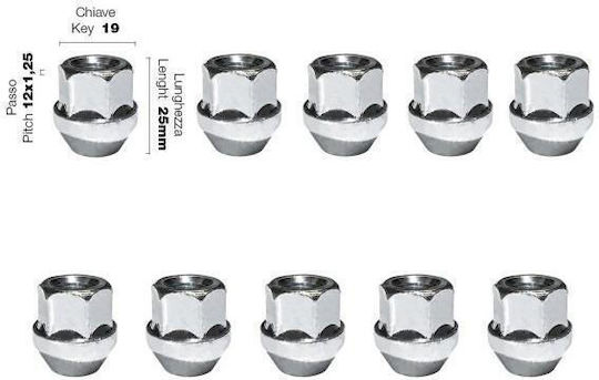 Simoni Racing Nüsse Konisch 12x1.25/25mm/19 10 Stück Länge 25mm für Schlüssel Nr. 25 10Stück