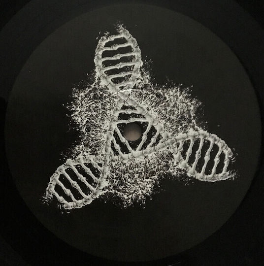 Coroner Dissonance Theory Vinyl