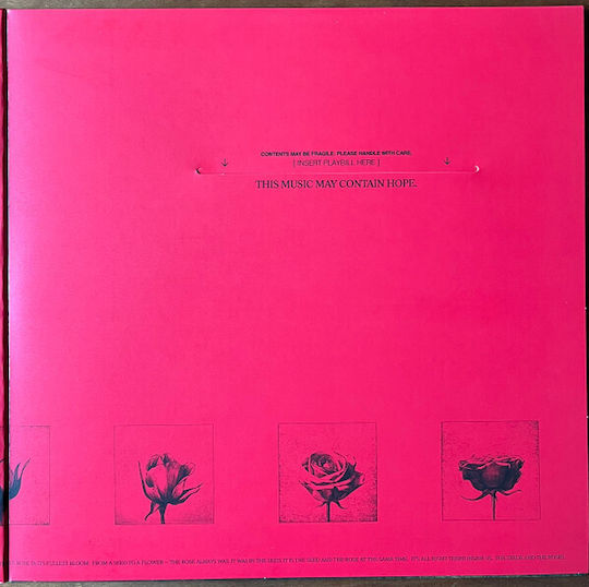 Raye 3 This Music May Contain Hope Vinyl
