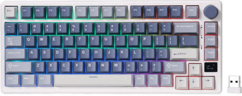 Royal Kludge RK-M75 Ασύρματο Gaming Μηχανικό Πληκτρολόγιο 75% με Custom Brown διακόπτες και RGB φωτισμό (Αγγλικό US) Μπλε