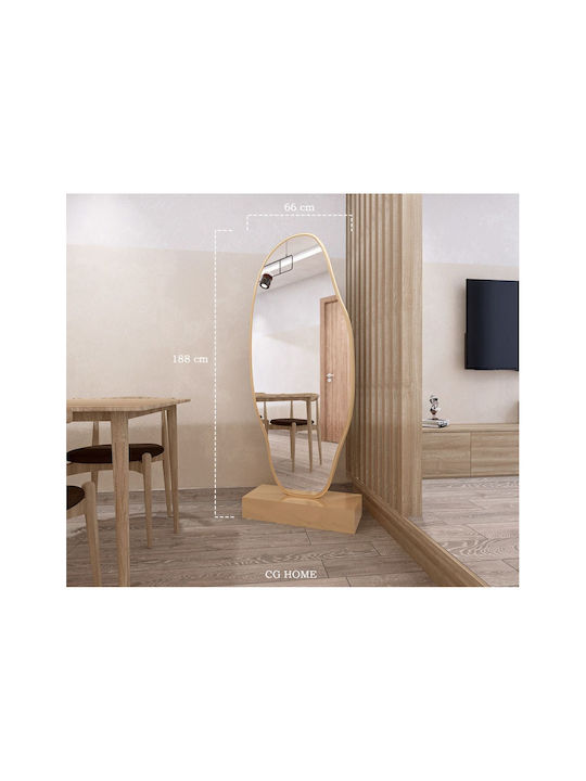 SteweHome Asymmetric Mirror with Gold Wooden Frame 180x65cm