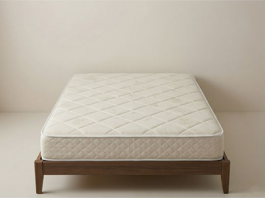 SteweHome Ορθοπεδικό Στρώμα Κούνιας με Memory Foam 50x100+24cm
