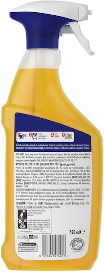 Kitchen Cleaner Spray for Grease 750ml