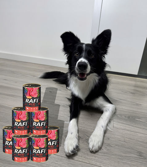 Rafi Wet Dog Food Diet With Beef Grain-Free 400gr