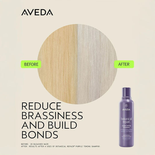 Aveda Botanical Σαμπουάν Αναδόμησης/Θρέψης για Ταλαιπωρημένα Μαλλιά 1000ml