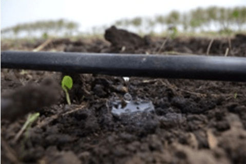Eurodrip Ø20/80 Drip Pipe Ø20 300m