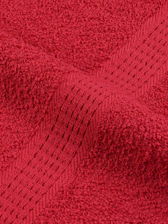 vidaXL Λαβέτα Κόκκινες 2τμχ Βάρους 360gr/m²