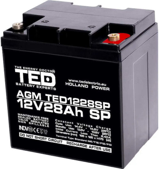 Ted Electric Батерия Ted Electric Ted003638 12V Стационарна VRLA Размери 165 X 175 X 125 мм 12V 26Ah M5 Батерия