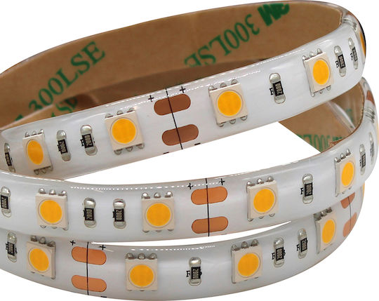 Αδιάβροχη Ταινία LED 12V Θερμό Λευκό Φως 1m Τύπου SMD5050