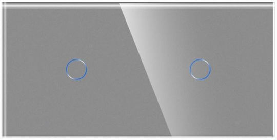 Luxion Touch Wall Switch with Frame Gray