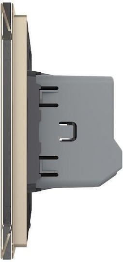 Livolo Touch Wall Switch Two-Way Gold