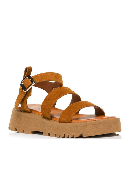 Tomas Shoes