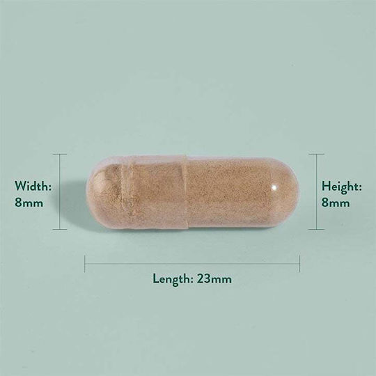 Holland & Barrett Ашваганда KSM-66 600 мг 30 капсули