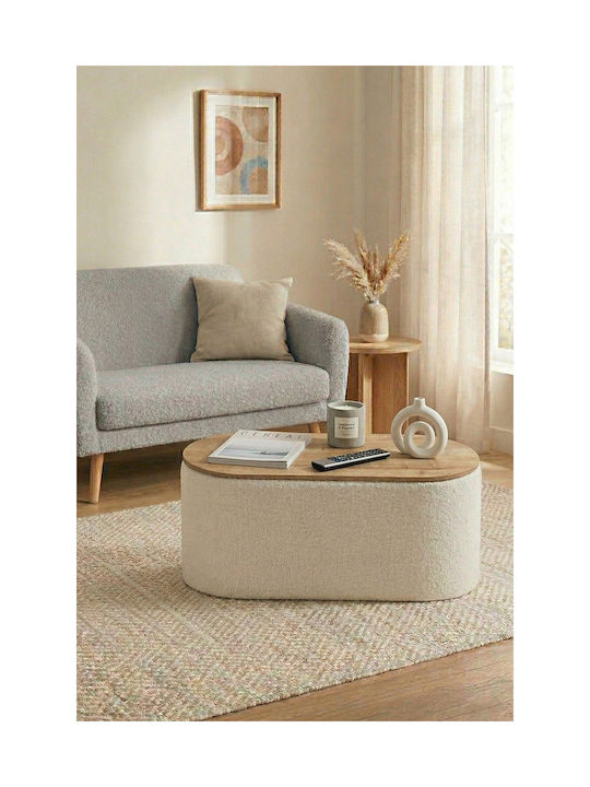 Living Room Stool With Storage Space Wooden White