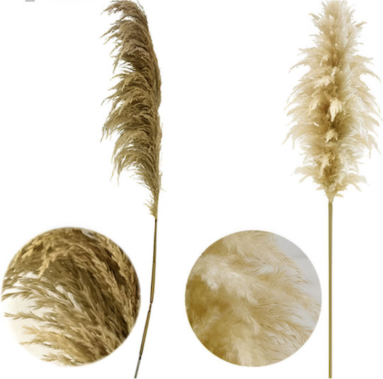 Sucursala Decorativă Artificială Pampas Grass 130cm Sucursala Decorativă Artificială Pampas Grass 130cm